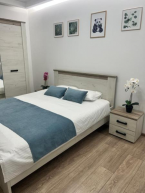 Mira Studio